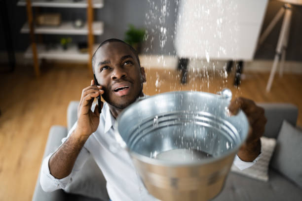 Best Sewage cleanup and water damage restoration  in Holland, OH