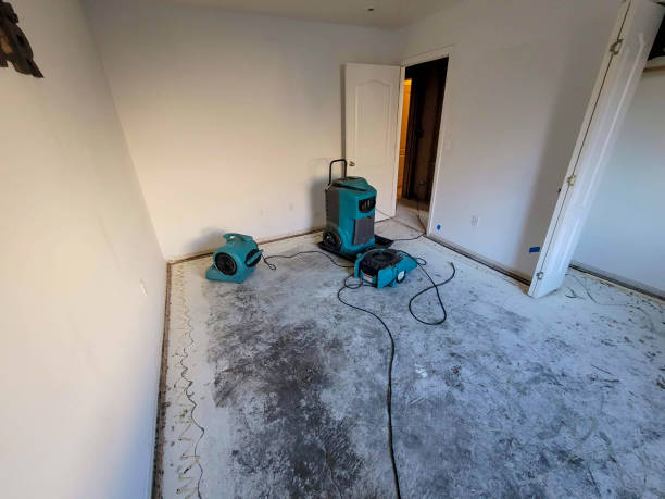  Holland, OH Water damage restoration Pros