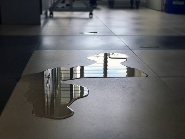 Best Water damage restoration company  in Holland, OH