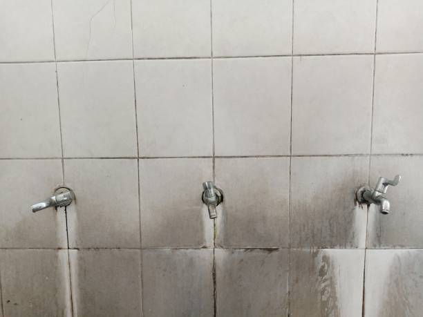 Best Flooded house restoration  in Holland, OH