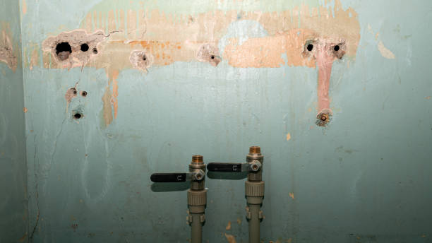 Best Residential water damage restoration  in Holland, OH