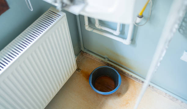 Best 24/7 water damage repair  in Holland, OH