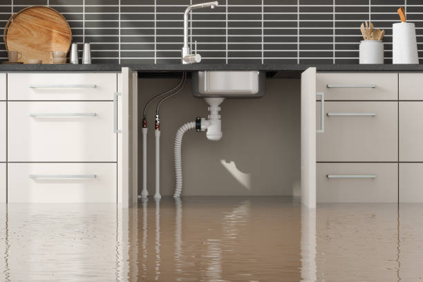 Best Professional water damage repair  in Holland, OH
